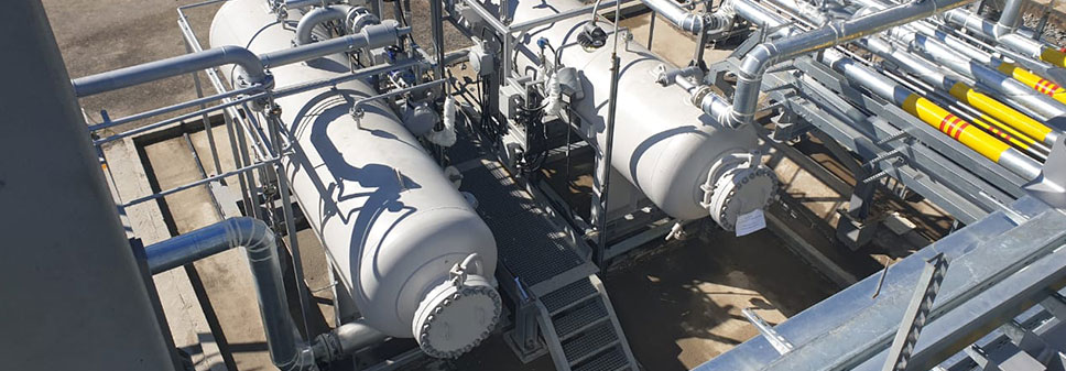 Safeguarding Every Bite: Innovative Solutions for Food Safety