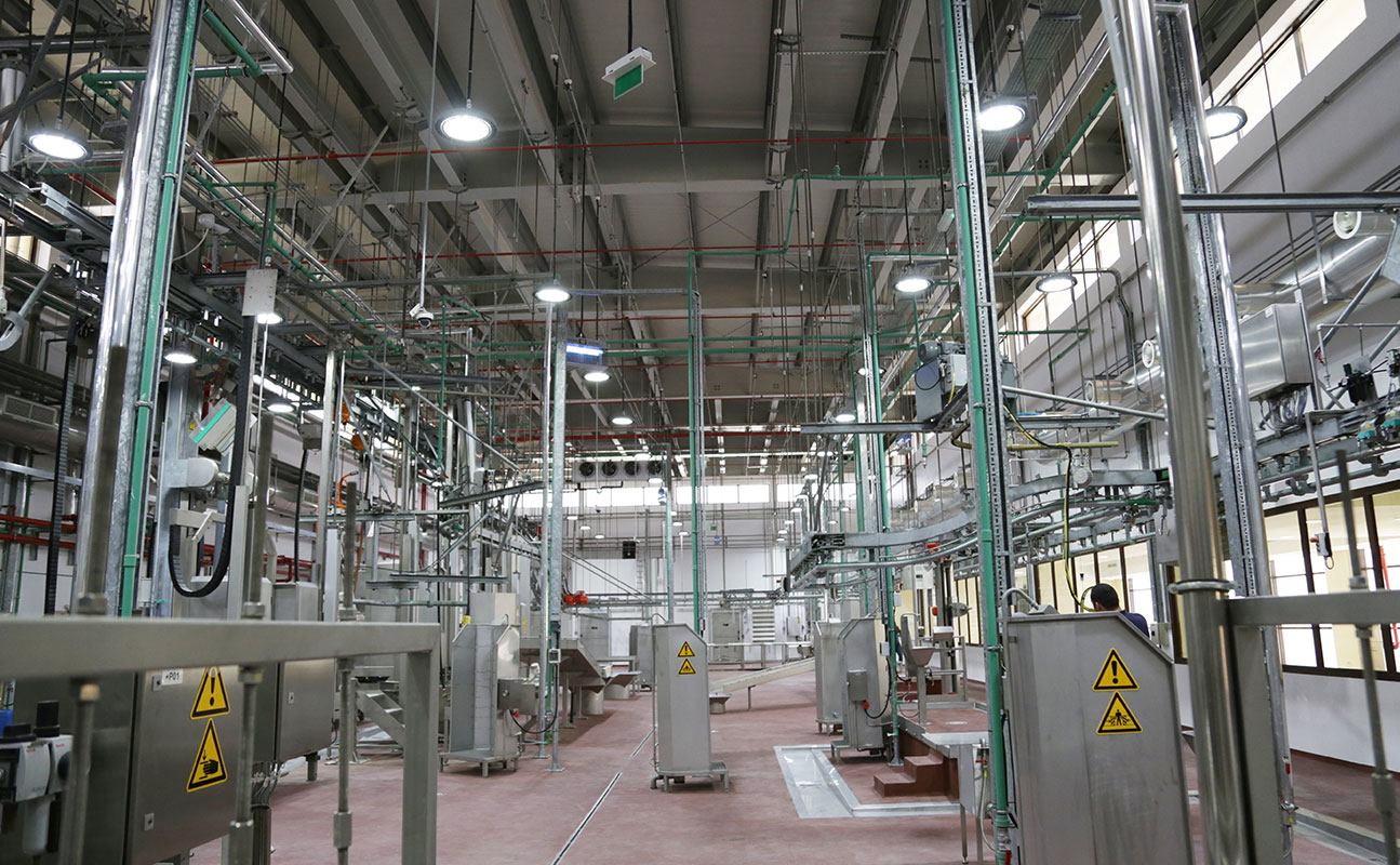 Safeguarding Every Bite: Innovative Solutions for Food Safety