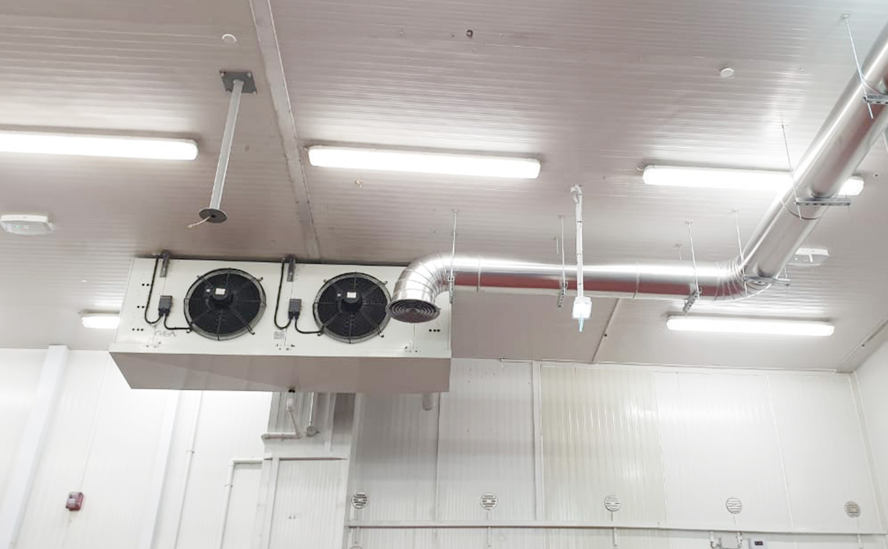 Creating Penguin Paradises with Climate-Controlled Habitats